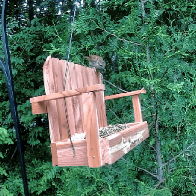 Amish Made Cedar Swing Seed Feeder