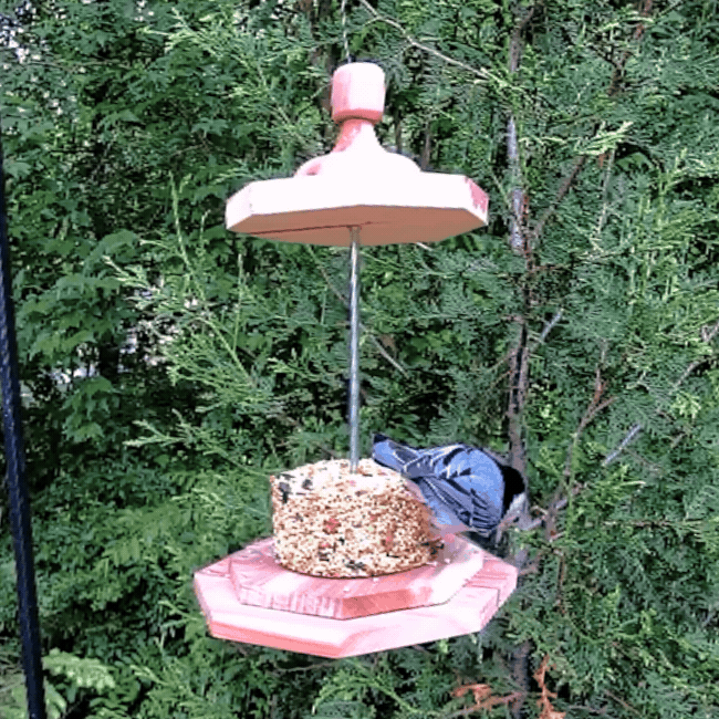 Amish Made Cedar Stacker Bird Feeder